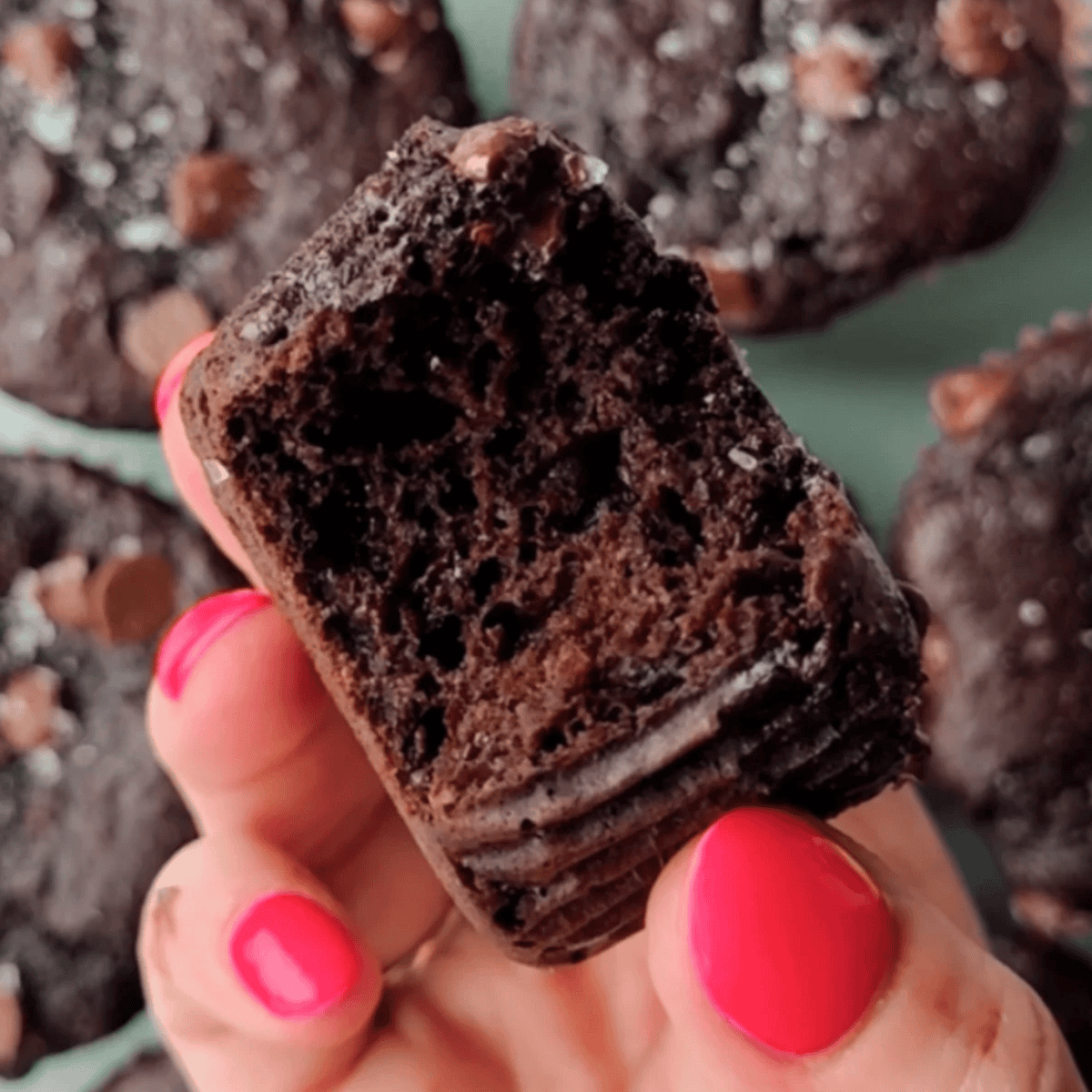 Kodiak Protein Muffins (Double Chocolate!)