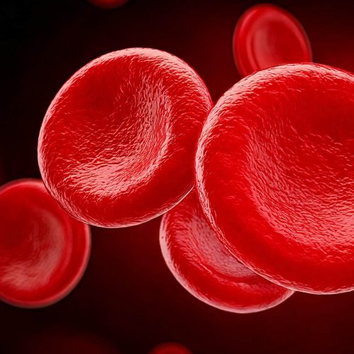 Help Keep Your Body’s Energy Engine Running / Woods Health Blog Woods Health Supplements And Vitamins