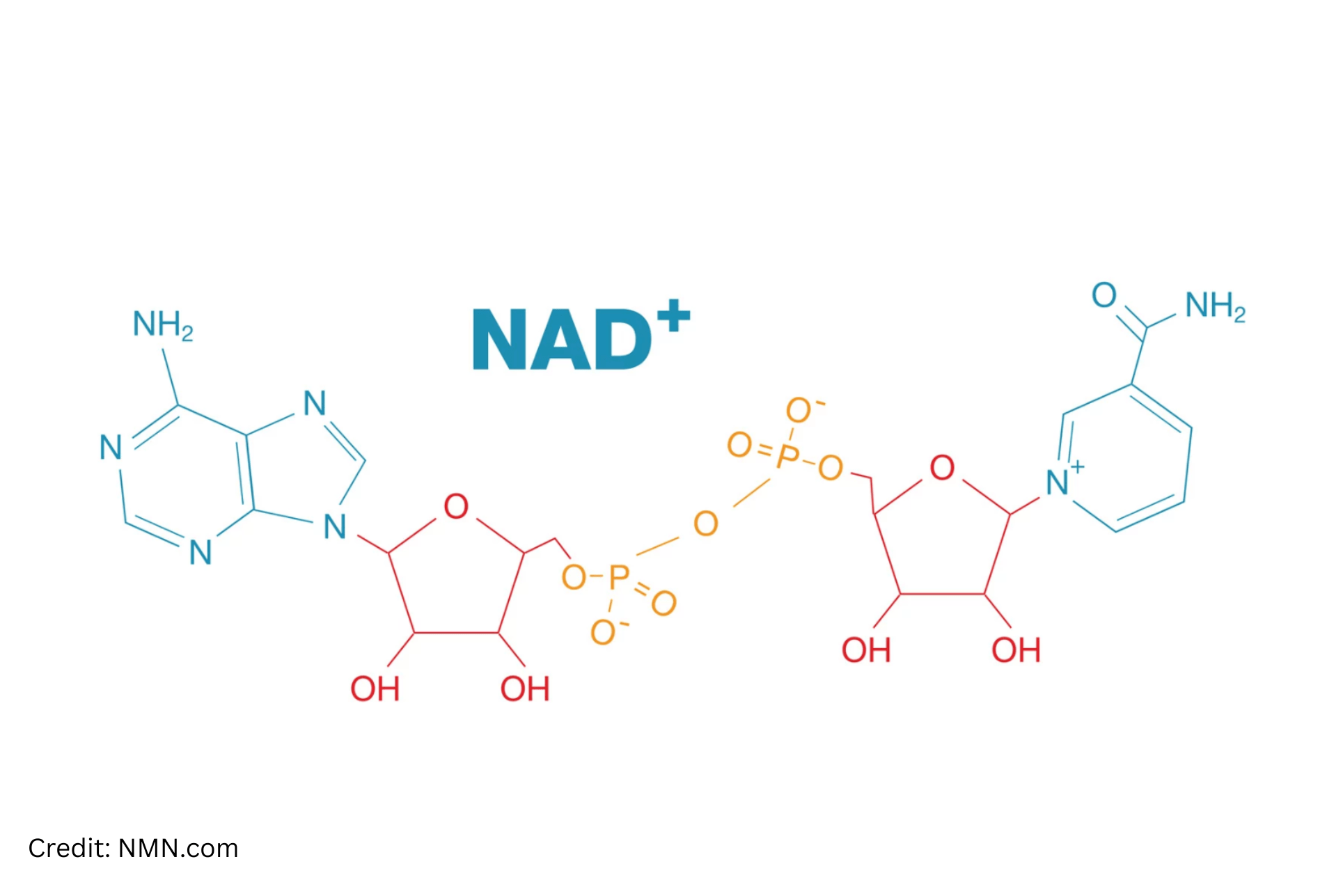 7 Signs Your Body May Be Low in NAD+