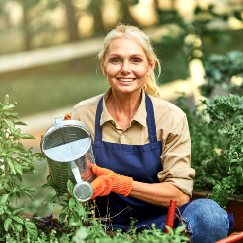 Top Picks to Support Your Joints / Woods Health Blog Woods Health Supplements And Vitamins