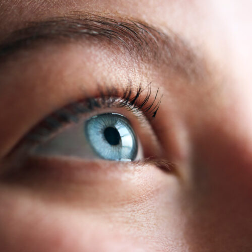 The Secret to Protecting Your High-Definition Sight / Woods Health Blog Woods Health Supplements And Vitamins