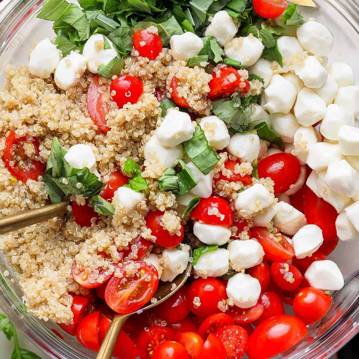 Fresh Caprese Quinoa Salad (15g Protein!) prepared for meal prep