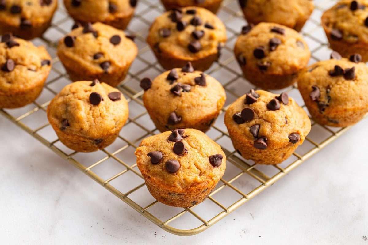 Mini Chocolate Chip Muffins Recipe