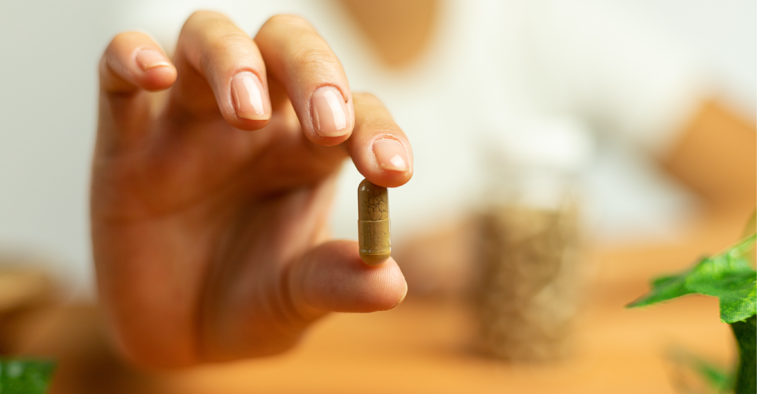 supplement in a person's hand